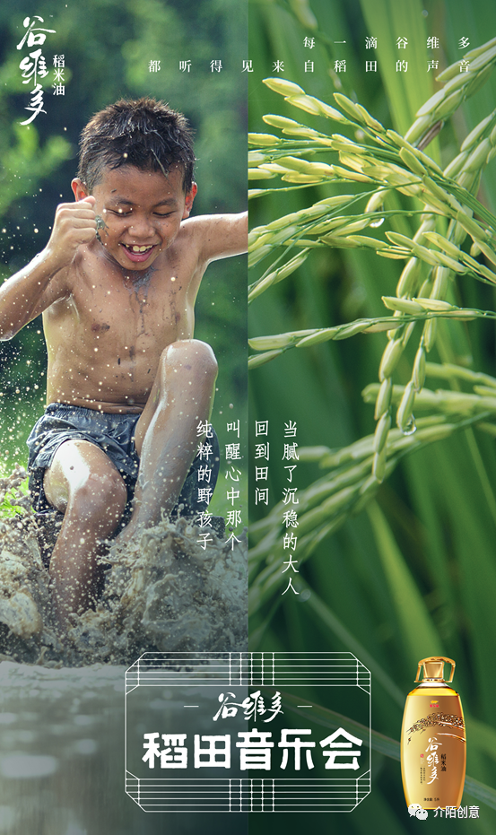 广告人干货库 金龙鱼谷维多:秋天的第一场稻田音乐会-广告人干货库
