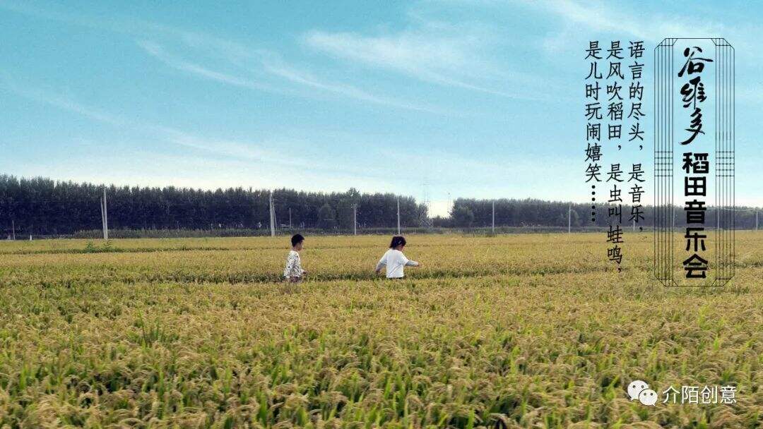 广告人干货库 金龙鱼谷维多:秋天的第一场稻田音乐会-广告人干货库