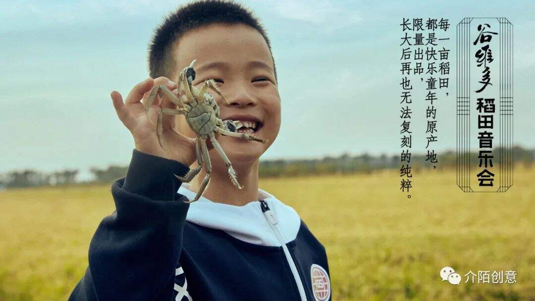 广告人干货库 金龙鱼谷维多:秋天的第一场稻田音乐会-广告人干货库