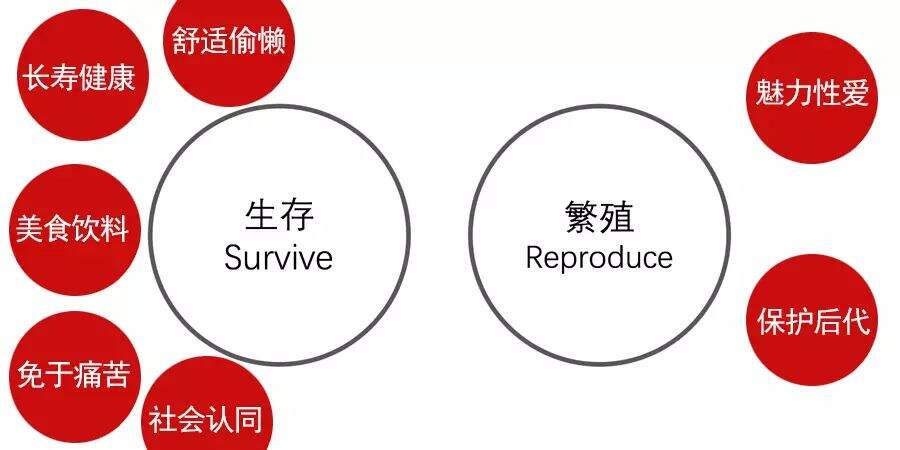 广告人干货库 你知道人性的欲望按钮吗?理解它,文案打动人只要3秒钟-广告人干货库