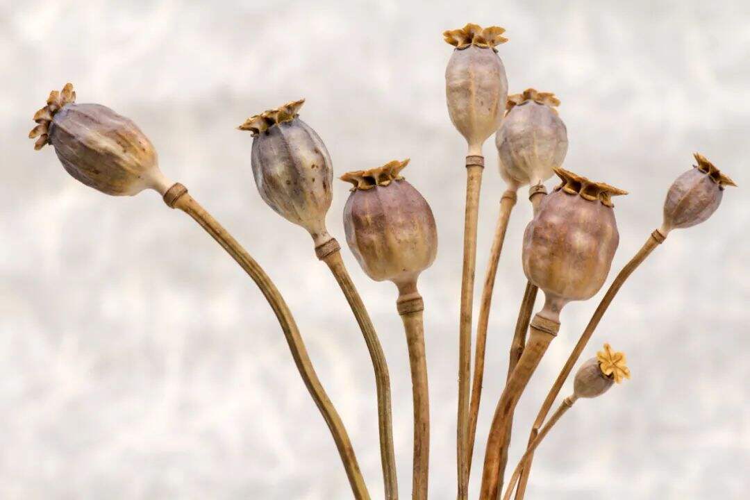 广告人干货库 2021年流行色最新预测发布!-广告人干货库