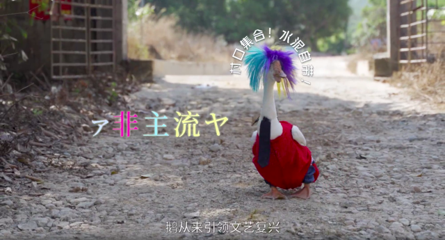 石锤！QQ是真在养「鹅］！-广告人干货库