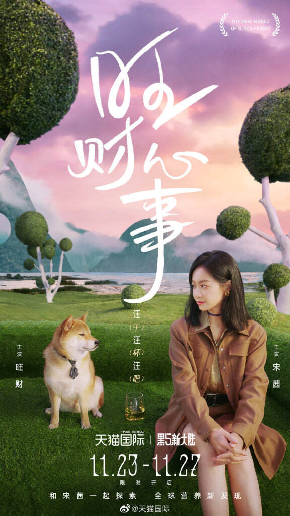 天猫国际携手宋茜探寻黑五新大陆。-广告人干货库