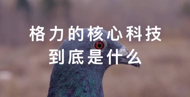 虎嗅F&M创新节首次在B站欢度。-广告人干货库