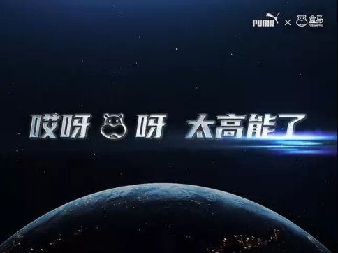 广告人干货库 11月营销案例精选:盒马撞彪马 宝马入B站 C罗喊老铁...-广告人干货库