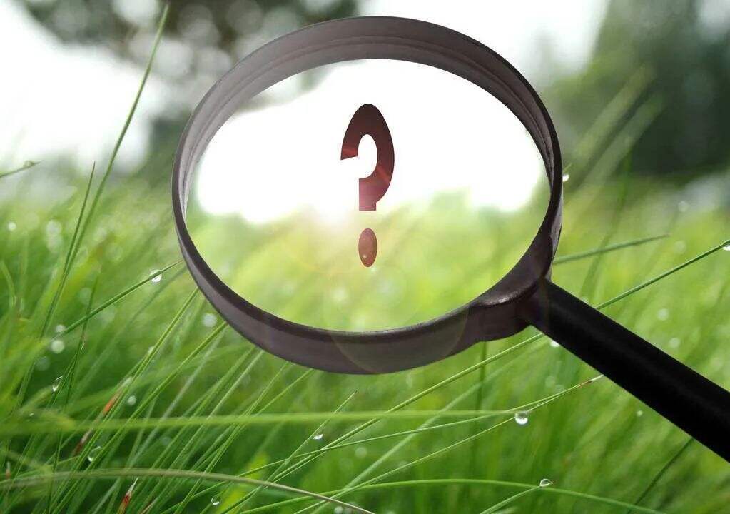 广告人干货库 广告人的节操、底线和核心价值观-广告人干货库