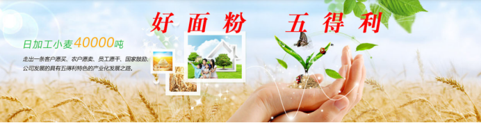 广告人干货库 万字长文详解品牌定位4类12种100套实战打法!-广告人干货库