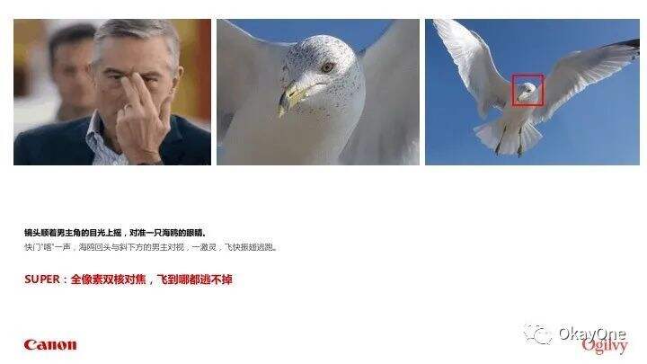 广告人干货库 对于佳能&奥美广告创意侵权事件的通知-广告人干货库