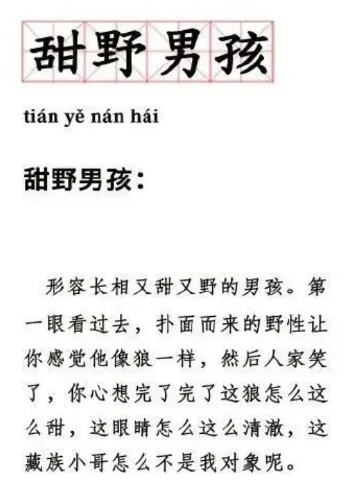 广告人干货库 揭秘丁真成顶流网红的营销逻辑!-广告人干货库