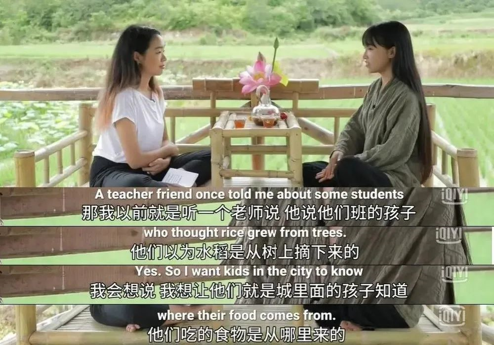 广告人干货库 揭秘丁真成顶流网红的营销逻辑!-广告人干货库