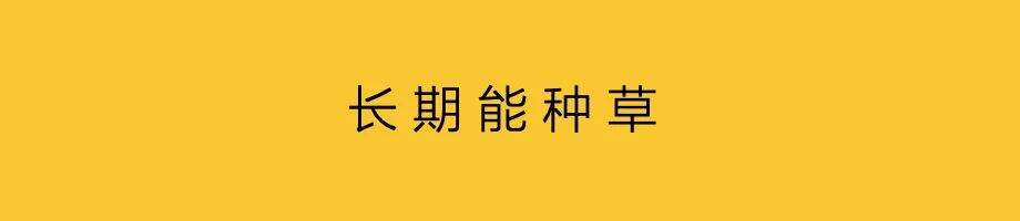 广告人干货库 营销框架外,定制化内容-广告人干货库