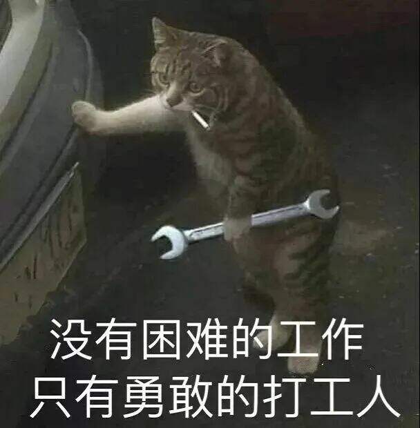广告人干货库 2020年热词大盘点,不懂一半就不算合格的新媒体人!-广告人干货库