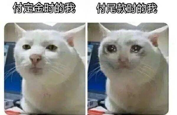 广告人干货库 2020年,刷屏你朋友圈的年度热词-广告人干货库