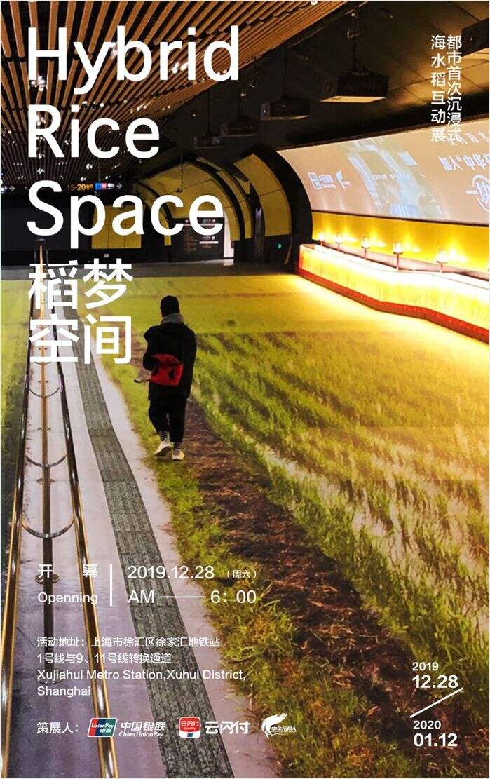 广告人干货库 2020 年度品牌跨界项目 TOP 20,让创意乘风破浪-广告人干货库