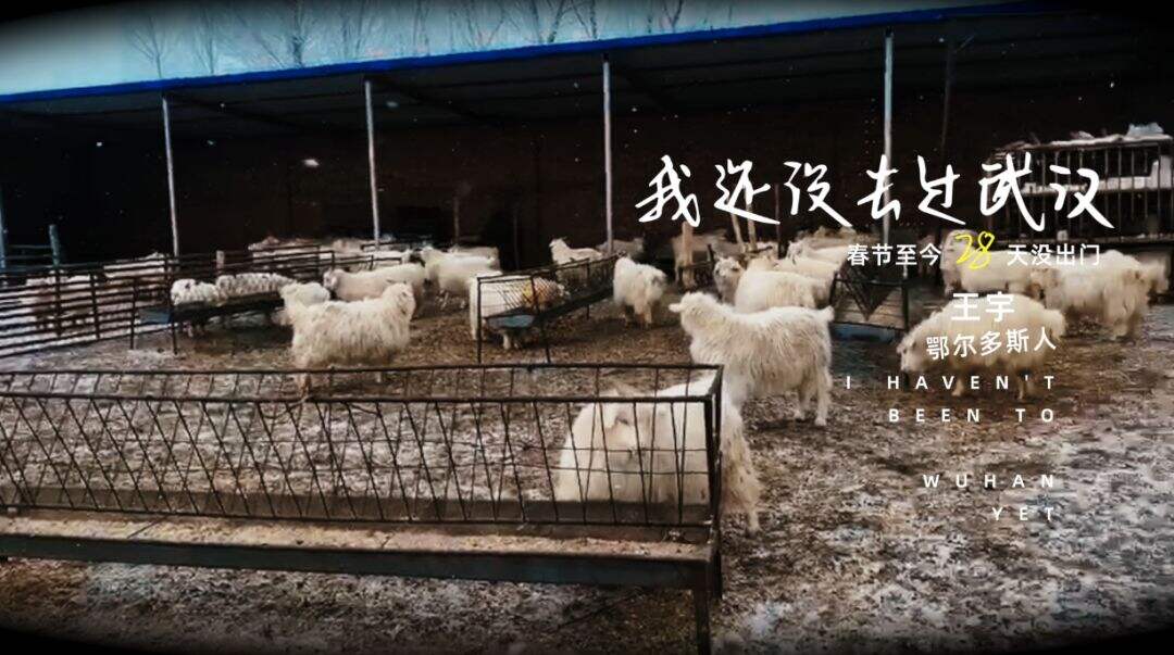 在家隔离的W创意人，写了一首公益歌曲献给武汉-广告人干货库