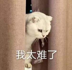 在家隔离的W创意人，写了一首公益歌曲献给武汉-广告人干货库