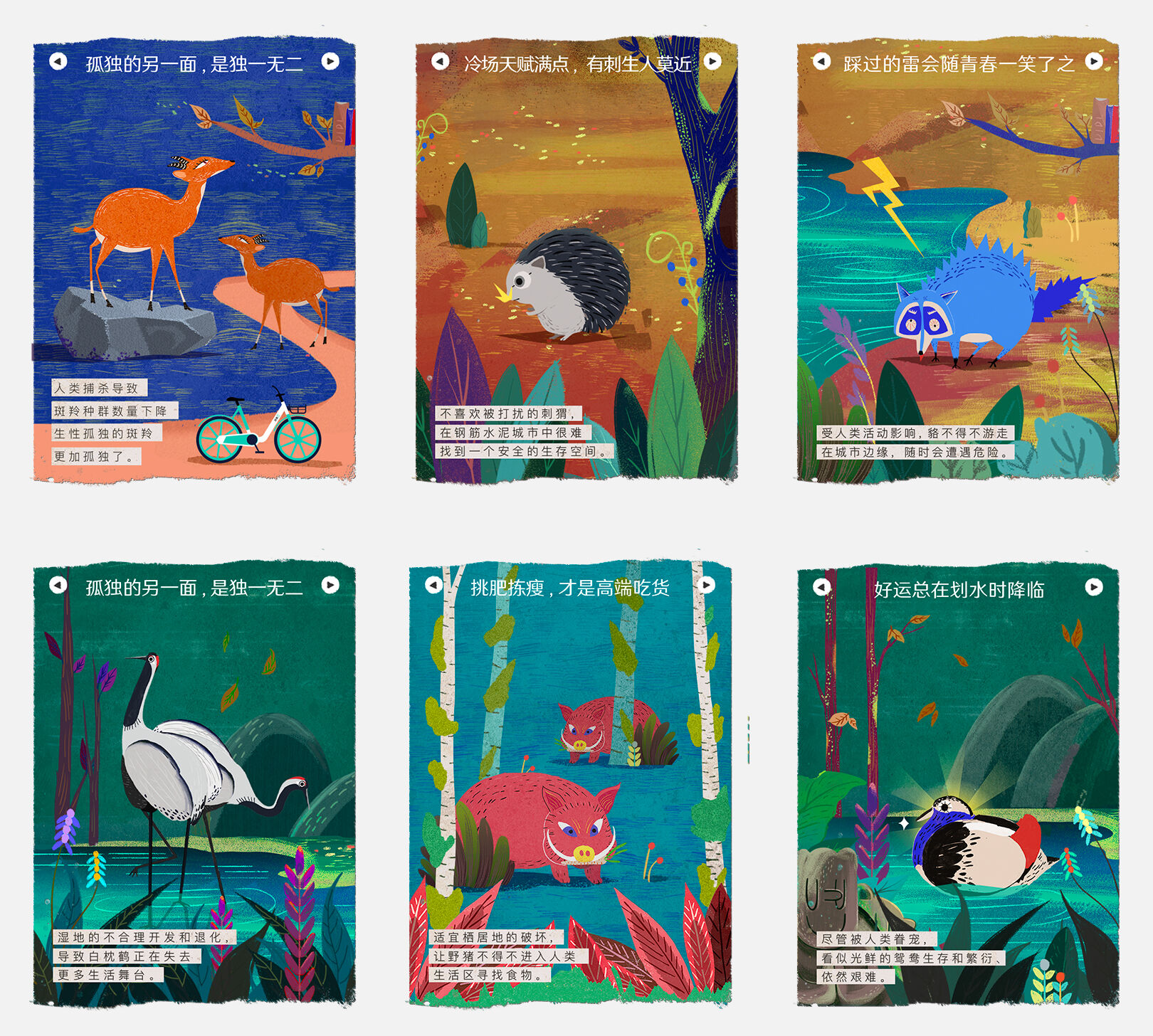广告人干货库 滴滴世界环境日H5:你像哪种野生动物?-广告人干货库