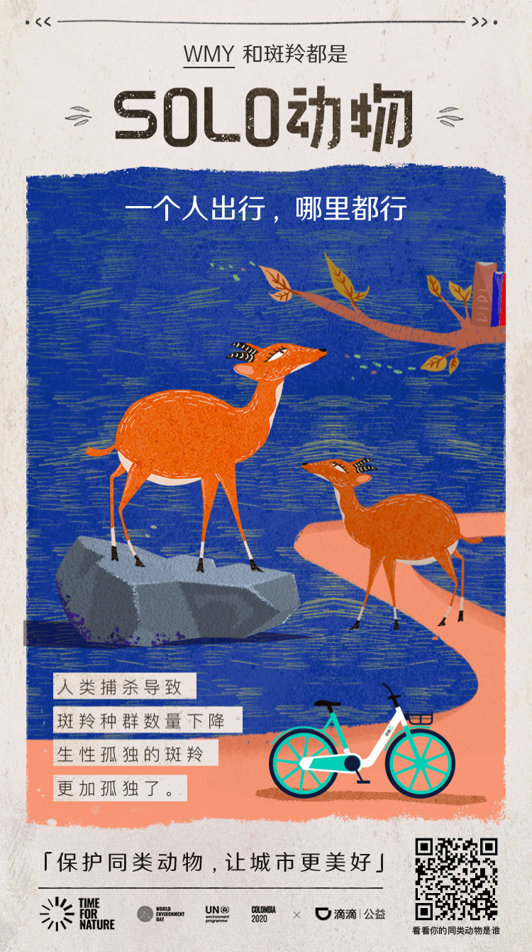 广告人干货库 滴滴世界环境日H5:你像哪种野生动物?-广告人干货库