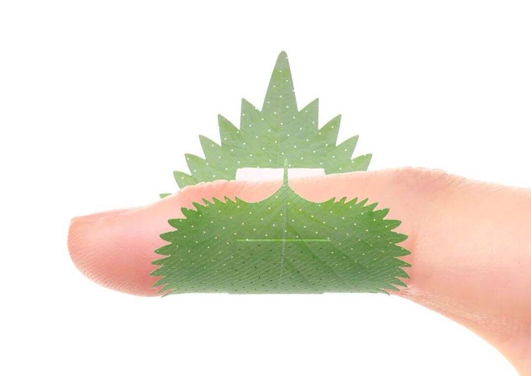 广告人干货库 日本90后小哥用食物做设计,这脑洞太大了!-广告人干货库