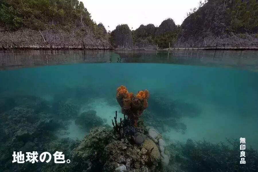 广告人干货库 MUJI海报又获奖了!专注极简40年,用一张海报征服全世界-广告人干货库