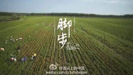 广告人干货库 越看越饿的100句美食文案-广告人干货库