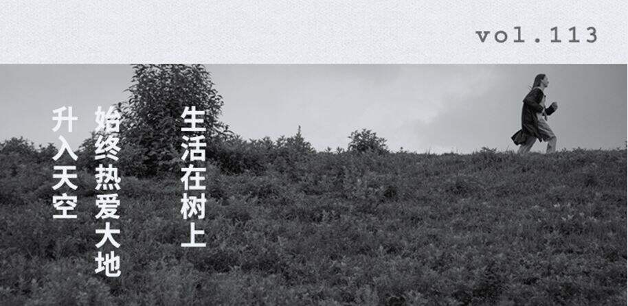 广告人干货库 好文案的四个标准-广告人干货库