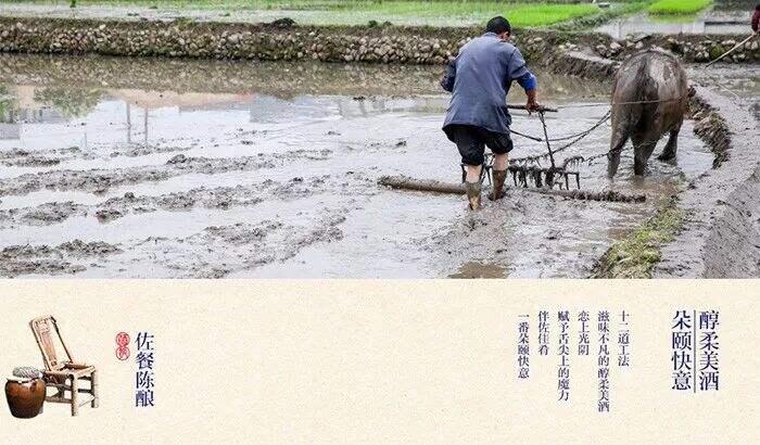 广告人干货库 青春/文艺/古风,酒品牌文案可以怎么写?建议收藏!-广告人干货库