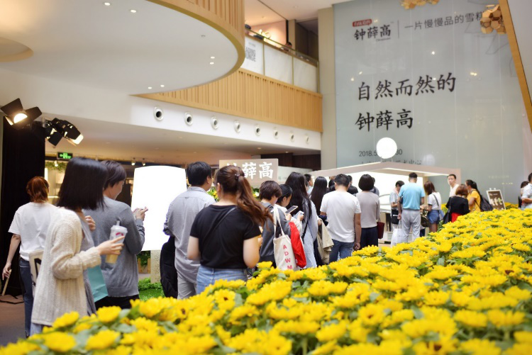 广告人干货库 钟薛高、王小卤、薄荷健康等创新消费品牌成长的共性方法论-广告人干货库
