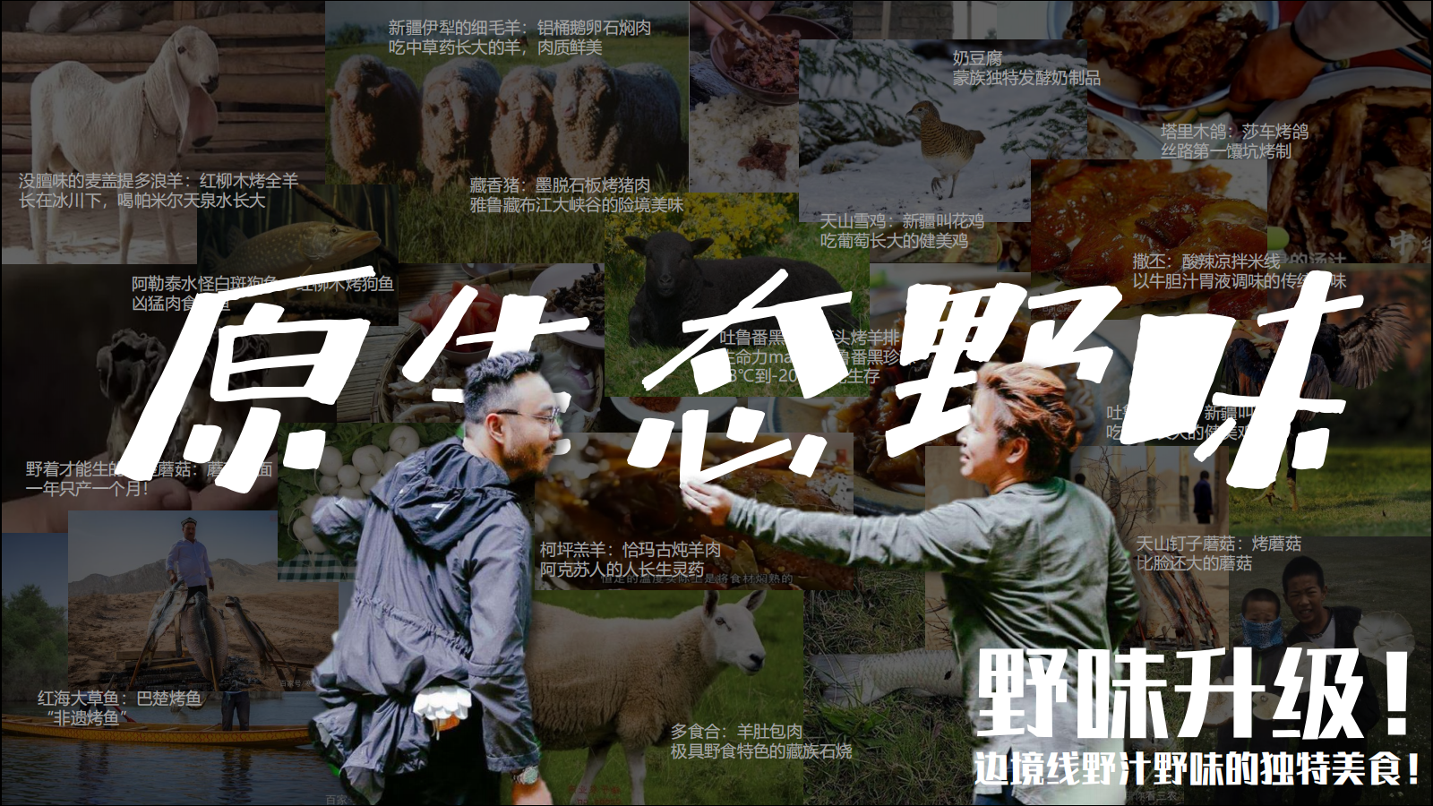 广告人干货库 芒果台综艺招商PPT曝光,吸金制胜法宝大揭秘-广告人干货库