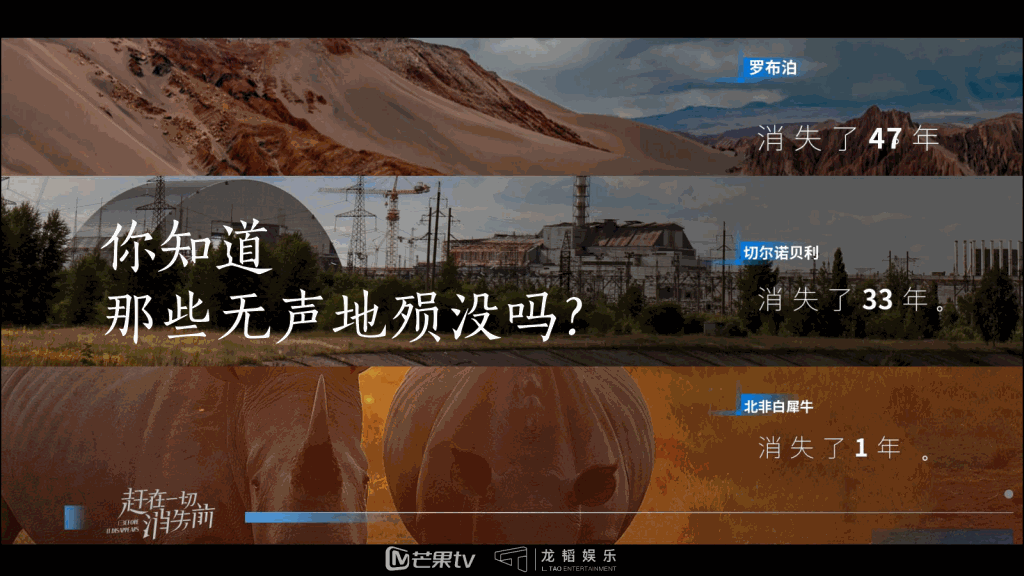 广告人干货库 芒果台综艺招商PPT曝光,吸金制胜法宝大揭秘-广告人干货库