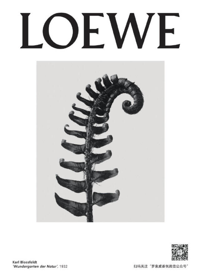 LOEWE 于上海举办「ARTBOX限时体验展」。-广告人干货库
