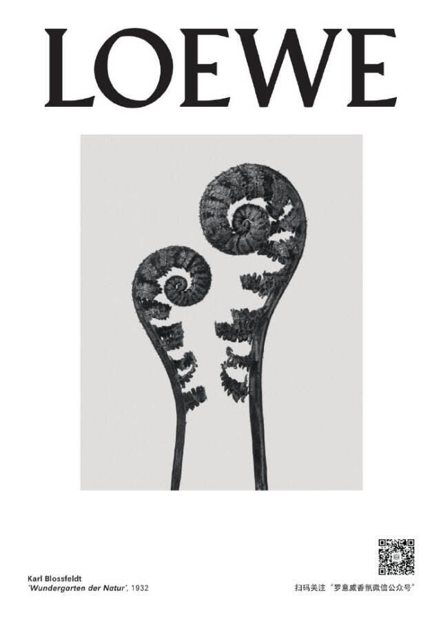 LOEWE 于上海举办「ARTBOX限时体验展」。-广告人干货库