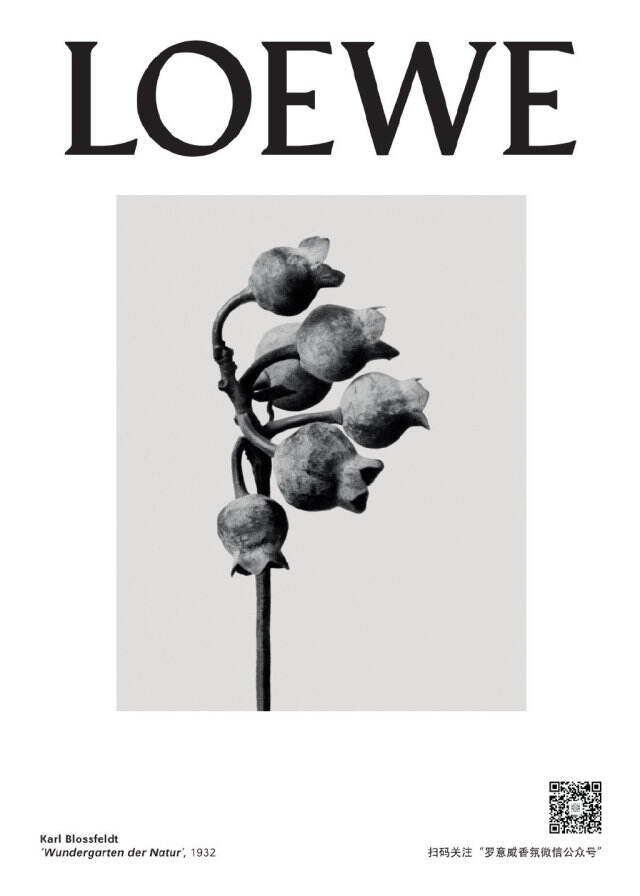LOEWE 于上海举办「ARTBOX限时体验展」。-广告人干货库
