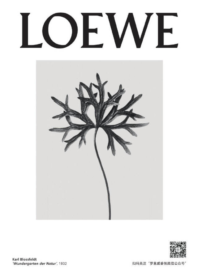 LOEWE 于上海举办「ARTBOX限时体验展」。-广告人干货库