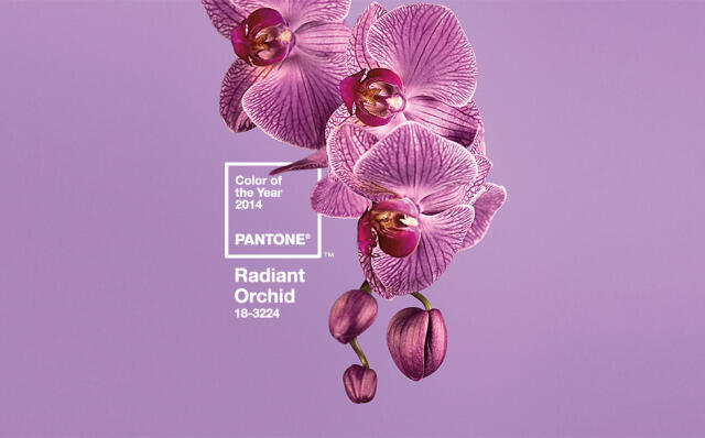 Pantone 发布年度双流行色：亮丽黄和极致灰。-广告人干货库