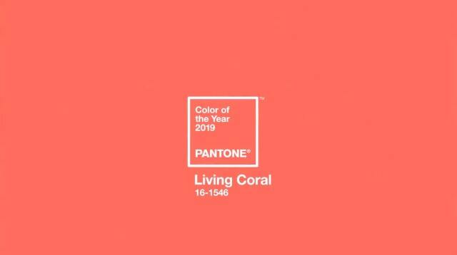 Pantone 发布年度双流行色：亮丽黄和极致灰。-广告人干货库