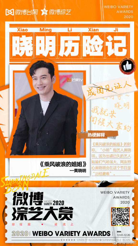 盘点了数百档综艺，微博综艺揭晓2020年「十二大综艺热梗」。-广告人干货库