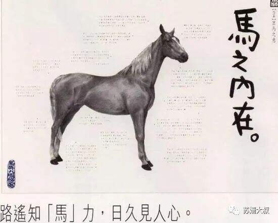 广告人干货库 华文广告四教父的黄金时代-广告人干货库