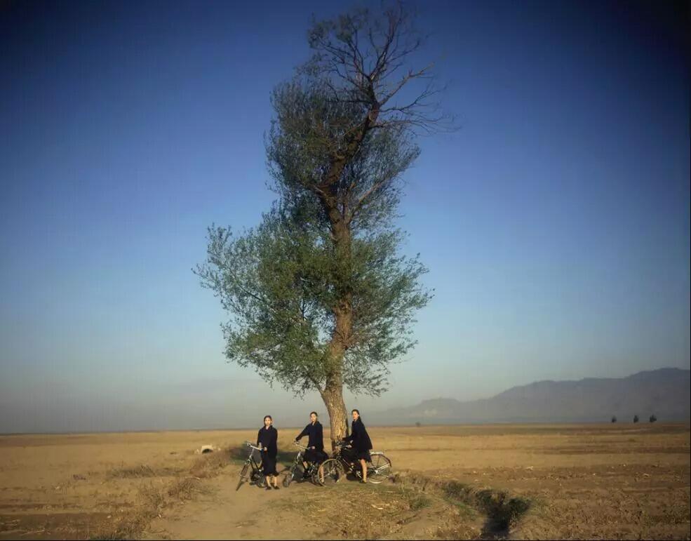 广告人干货库 三得利30年广告最全回顾:即使你不喝茶,也一定会爱上这些广告-广告人干货库