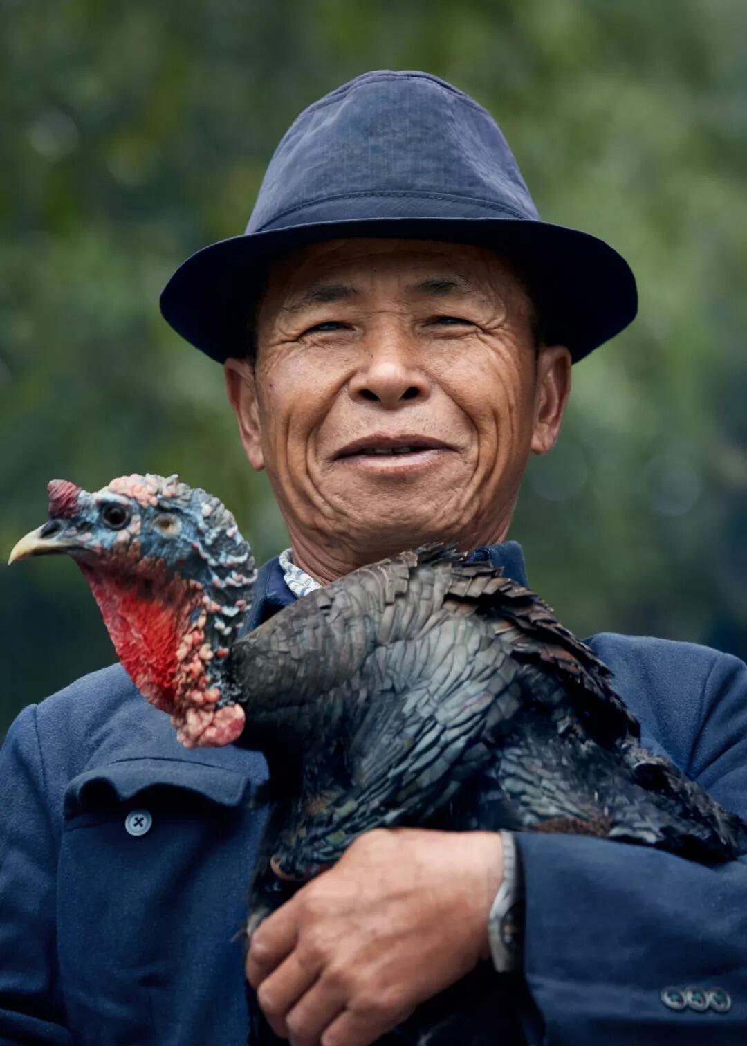 广告人干货库 三得利30年广告最全回顾:即使你不喝茶,也一定会爱上这些广告-广告人干货库