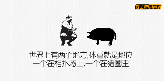 文案规则与技巧总结-广告人干货库