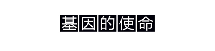 广告人干货库 怎么向达尔文学习创作刷屏级的文案?-广告人干货库
