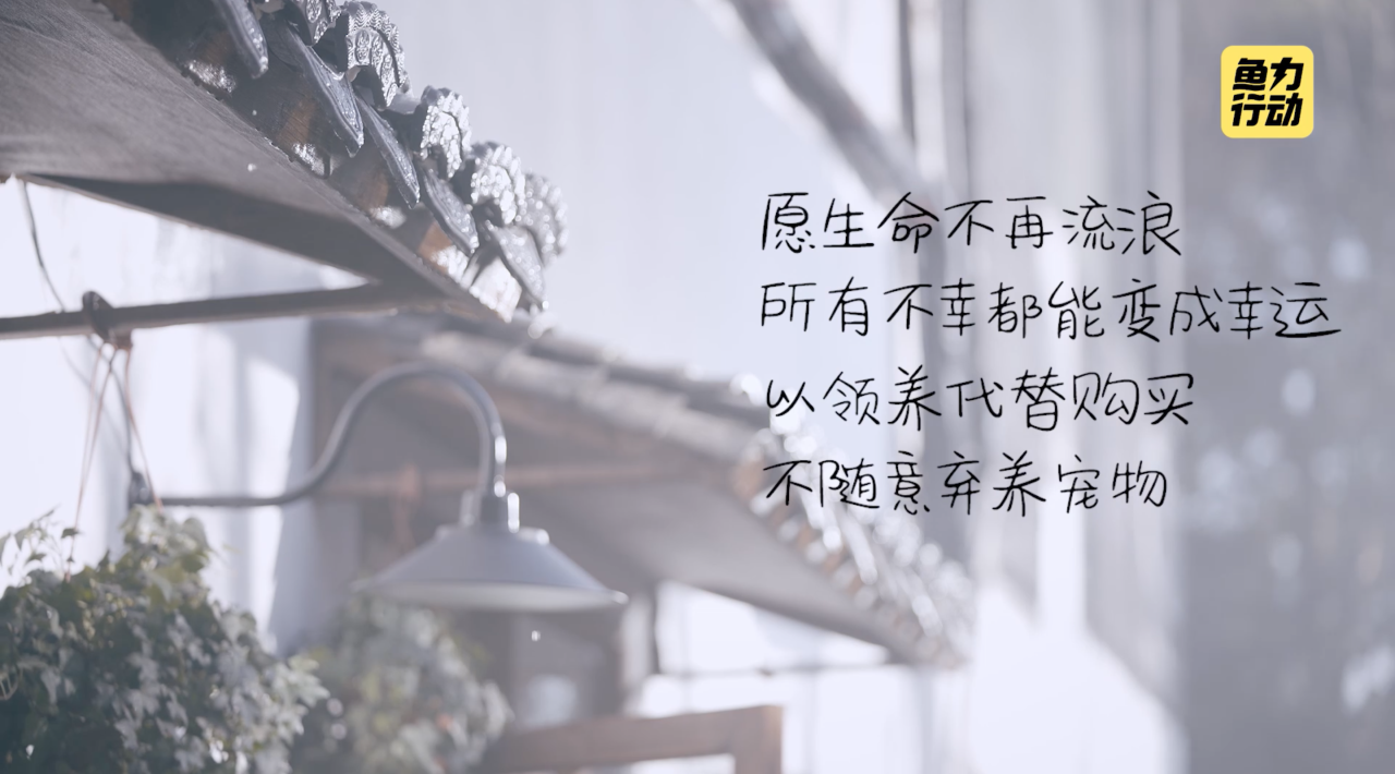 广告人干货库