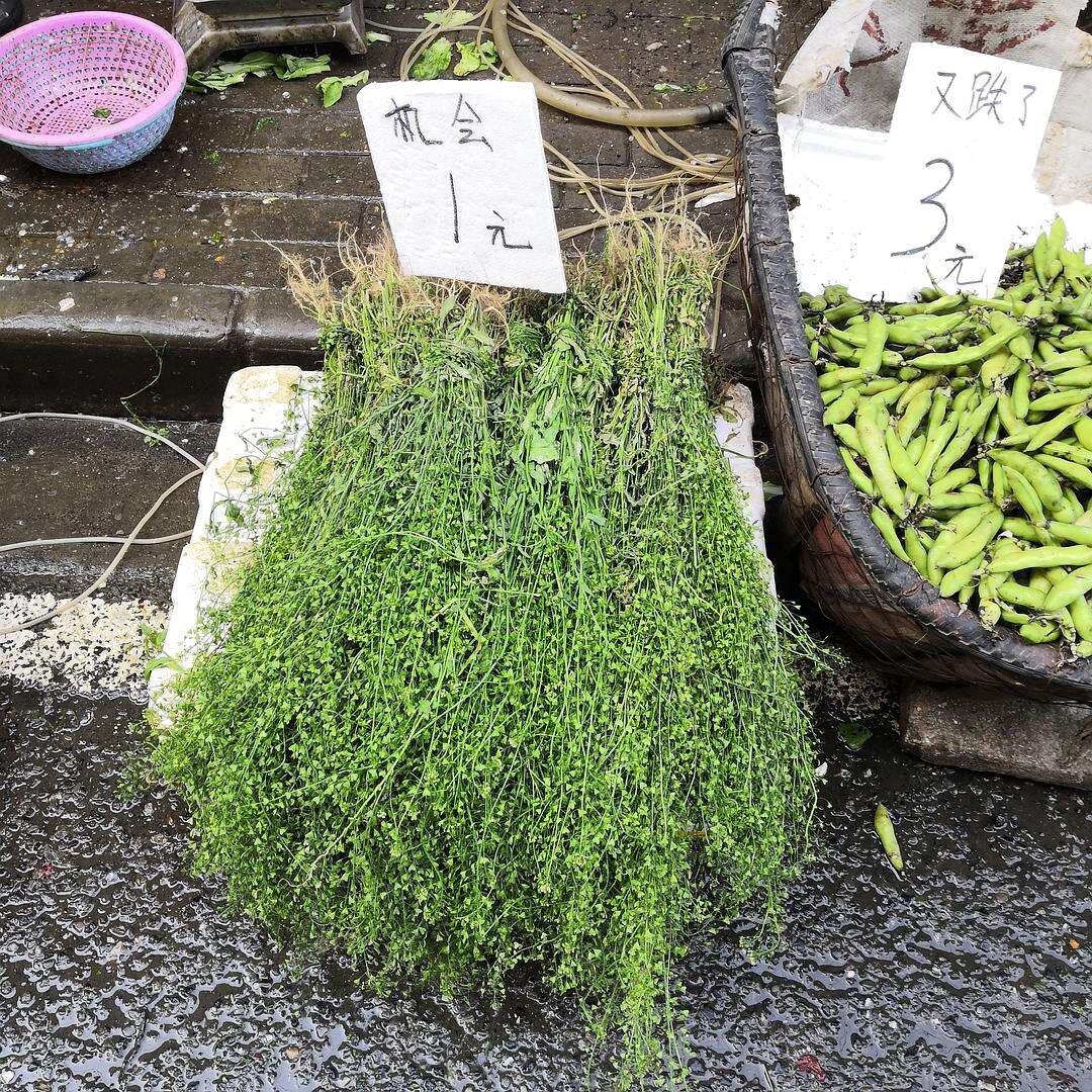 广告人干货库 好文案在民间——精选50句招牌文案,让人直呼真内行!-广告人干货库