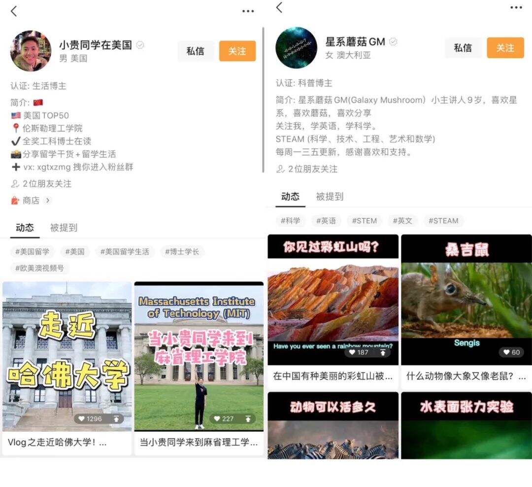 广告人干货库 视频号走过一年,谁挖到了金子,谁早已放弃?-广告人干货库