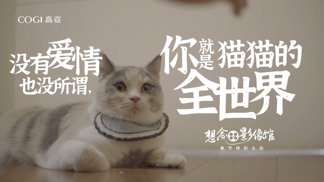 高姿「想念影像馆」正式放映-广告人干货库