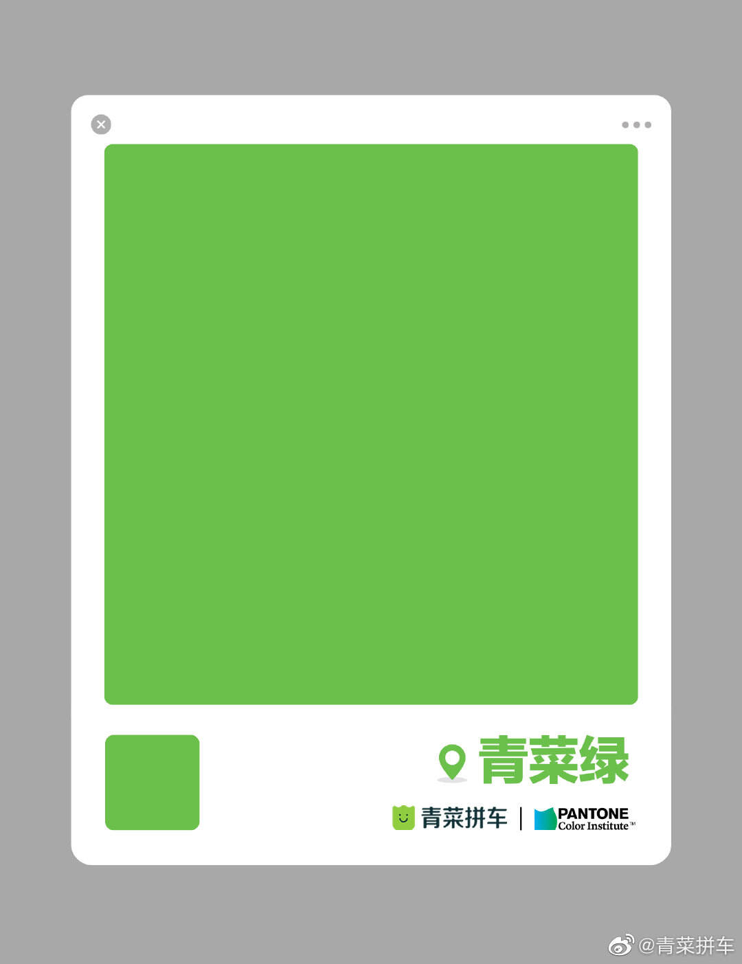 青菜拼车 × Pantone 联合发布环保品牌色-广告人干货库