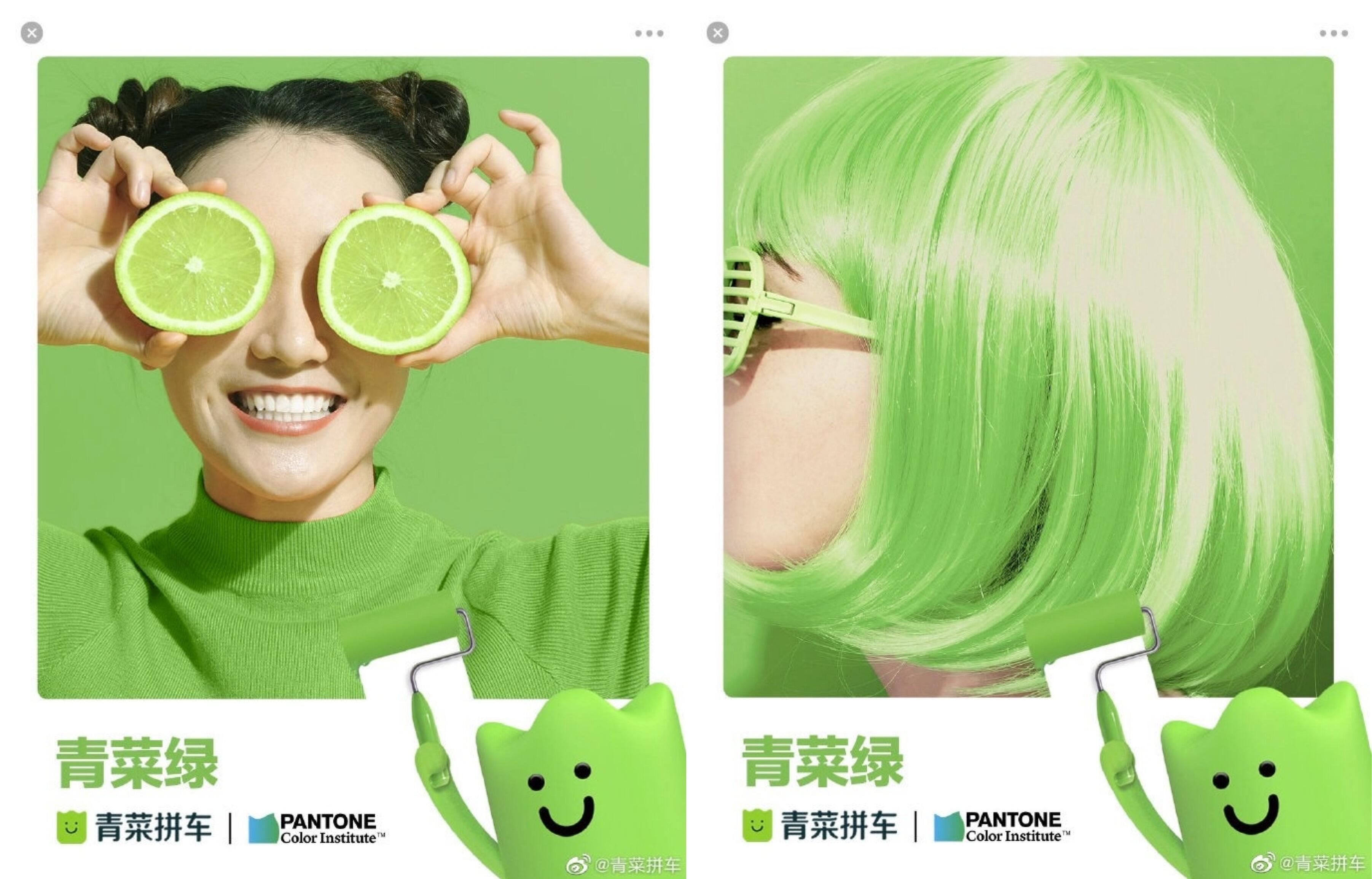 青菜拼车 × Pantone 联合发布环保品牌色-广告人干货库