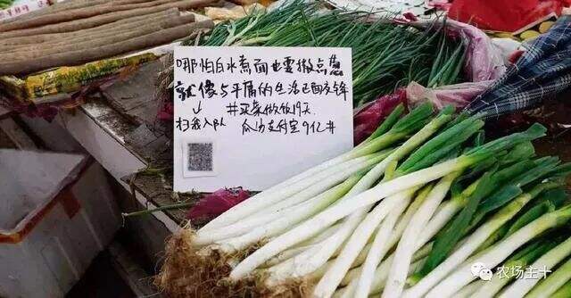 广告人干货库 不会文案,也敢摆地摊儿?| 地摊文案经济学-广告人干货库