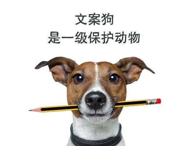 广告人干货库 一个合格文案人究竟如何copy?-广告人干货库